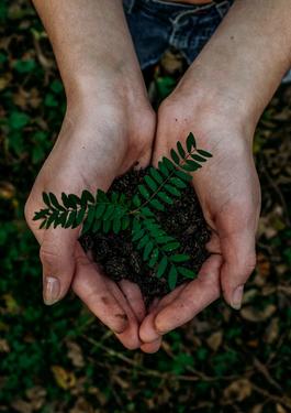 sostenibilità terra