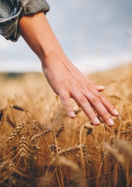 biologico in italia