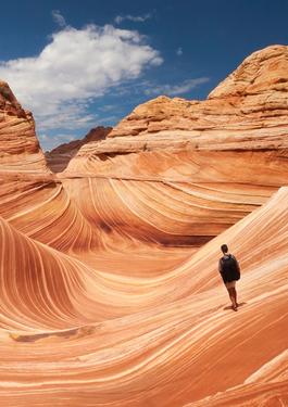 inclusion careers bureau veritas