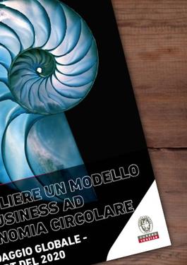 survey economia circolare report