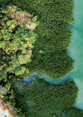 giornata mondiale dell'ambiente