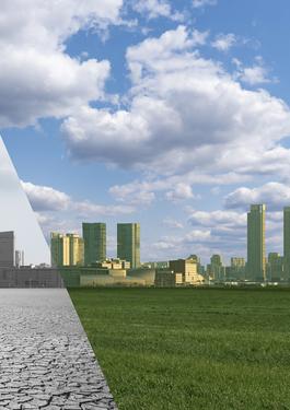 carbon-neutrality