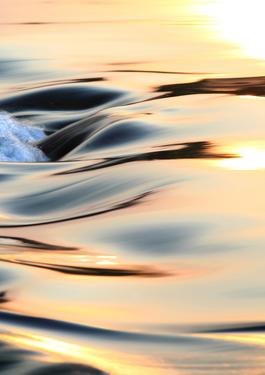 acqua