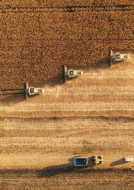 L'occhio di Bureau Veritas Commodities su tracciabilità e provenienza dei prodotti agricoli