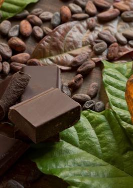 Cacao