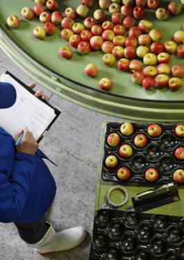 14-agriculture-and-food-market_farmtofork