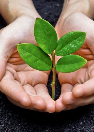 csr sostenibilità ambientale