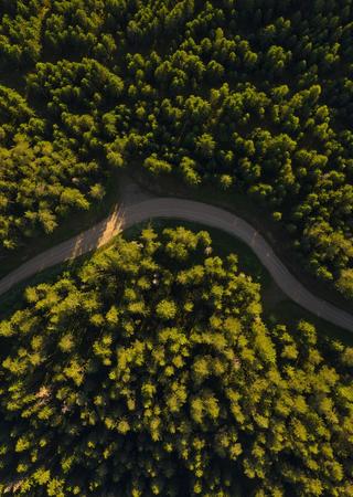 sostenibilita-green