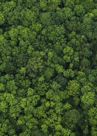 green line bureau veritas sotenibilità