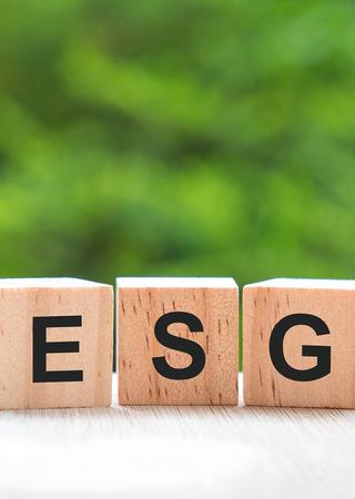 ESG Whitepaper Bureau Veritas