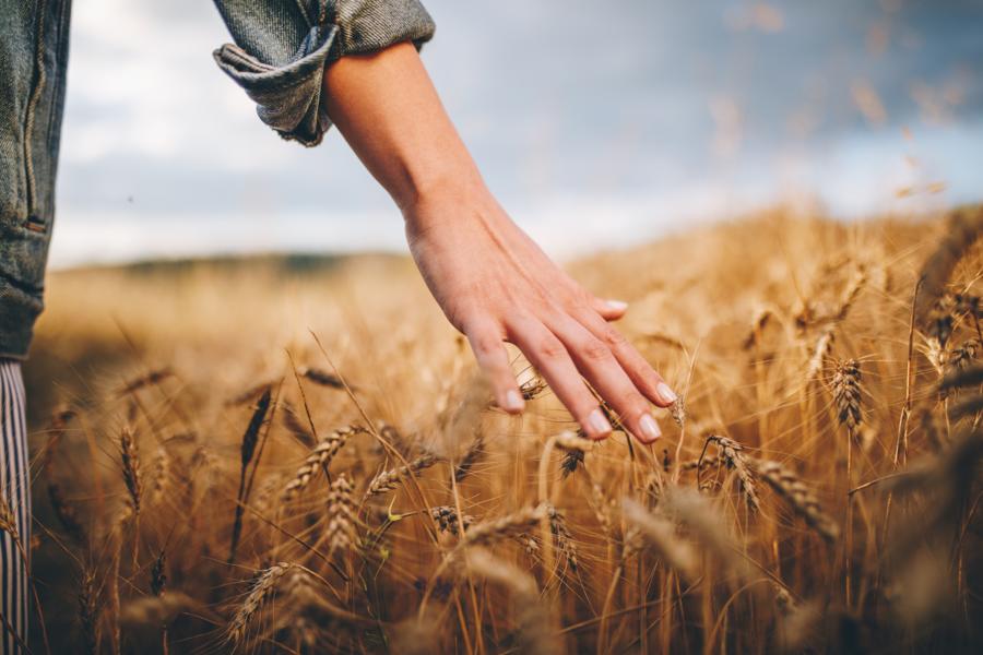 biologico in italia