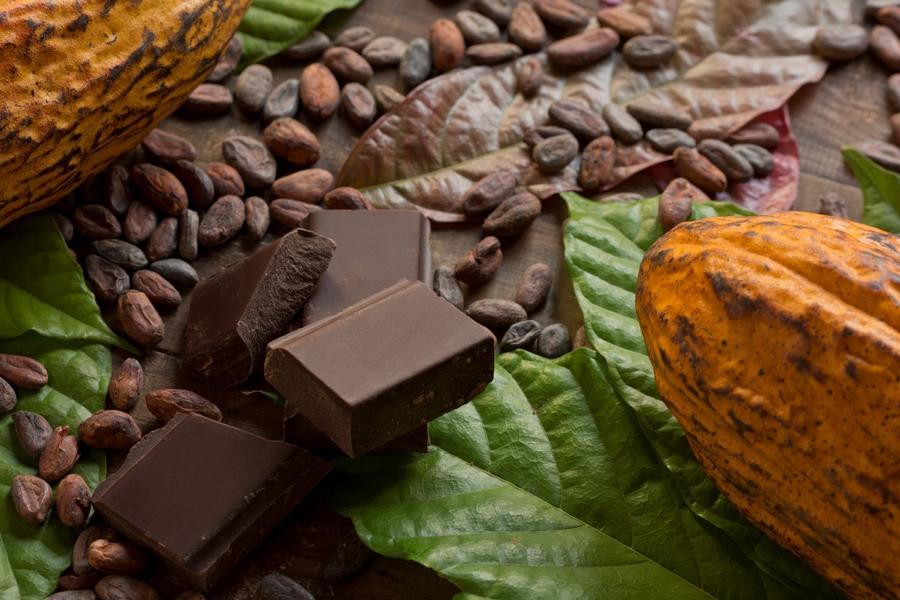 Cacao