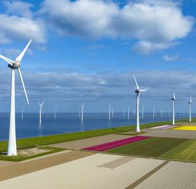 pale eoliche transizione energetica