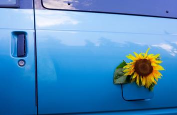 Certificazione Biofuel e Biometano