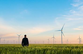 sustainability-landscape