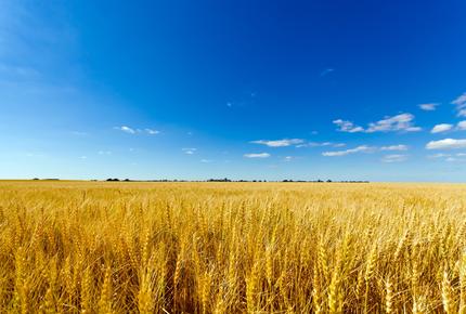 Agricoltura