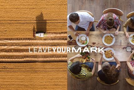 bureau veritas careers