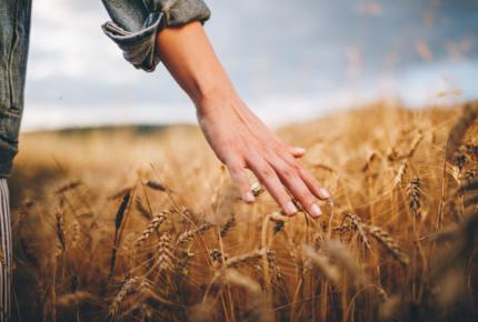 biologico in italia