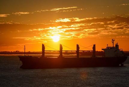 verifiche ed ispezioni commodities