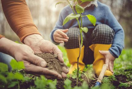 sostenibilità terra