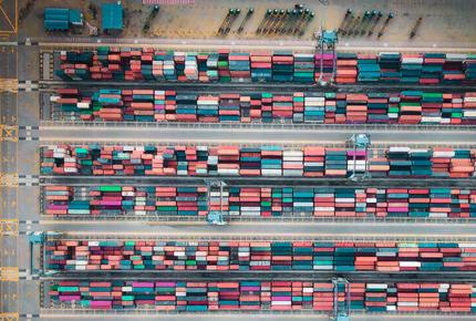 servizi verifica export procurement