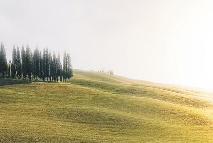 made in italy green