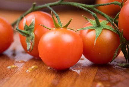 pomodori-pachino