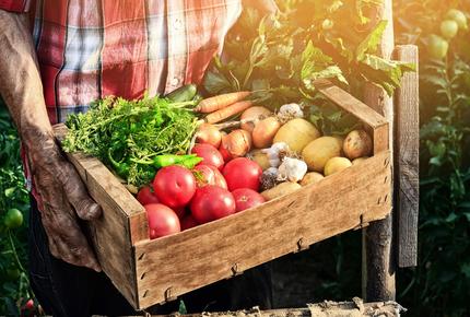 farm to fork