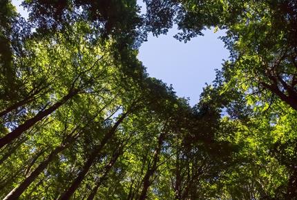 ecosostenibile dnsh bureau veritas