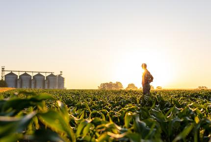 settore agroalimentare