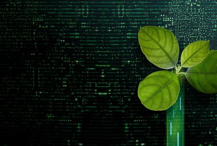 sustainability foglie